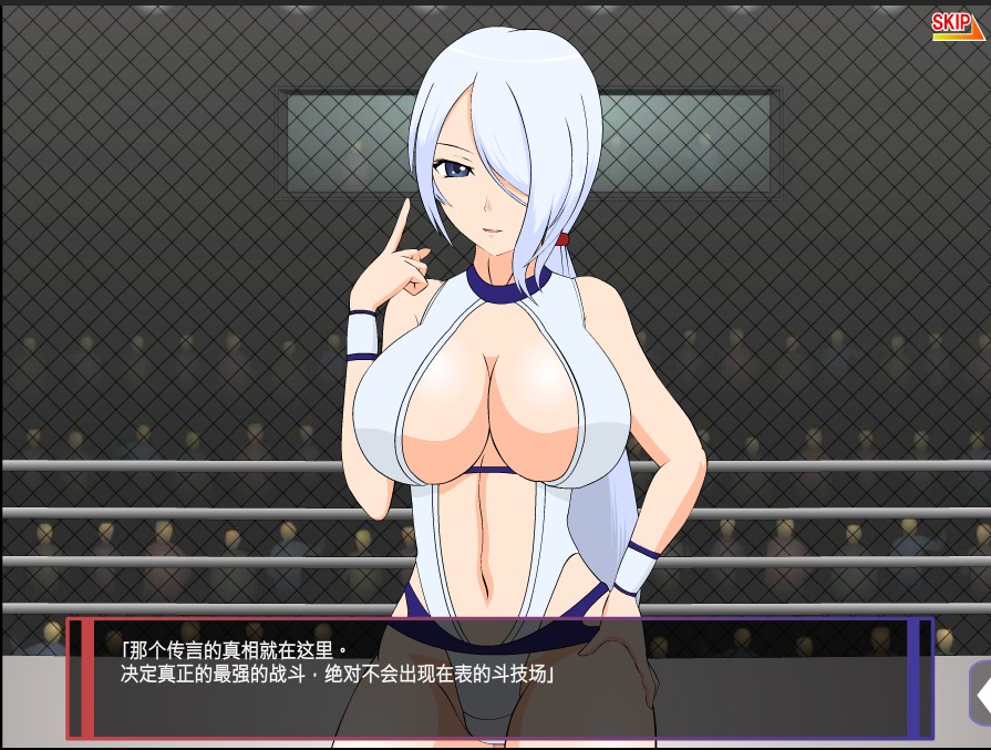 【格斗ACT/汉化/步兵】[JSK工坊] 斗技女王赛琳娜 完整精翻汉化版+攻略+存档【270M】