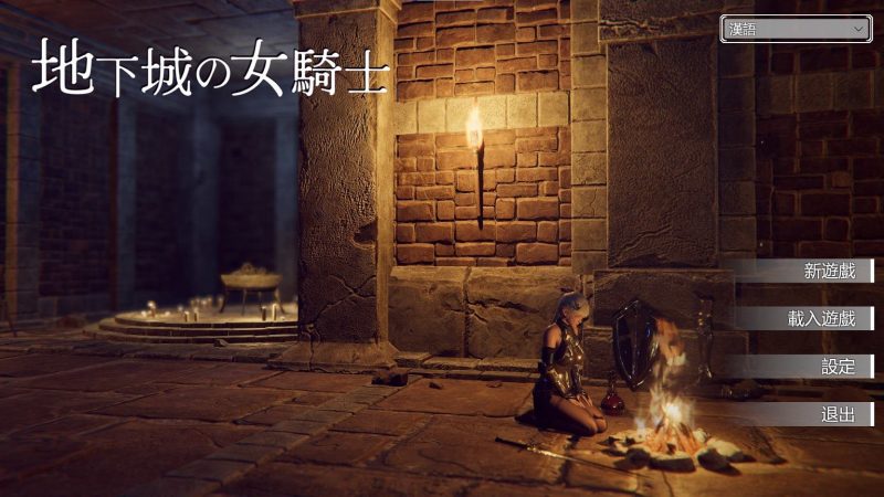 【日式ACT/中文】地下城的女骑士 steam官中步兵版【新作/3.3G】-乌龟ACG游戏