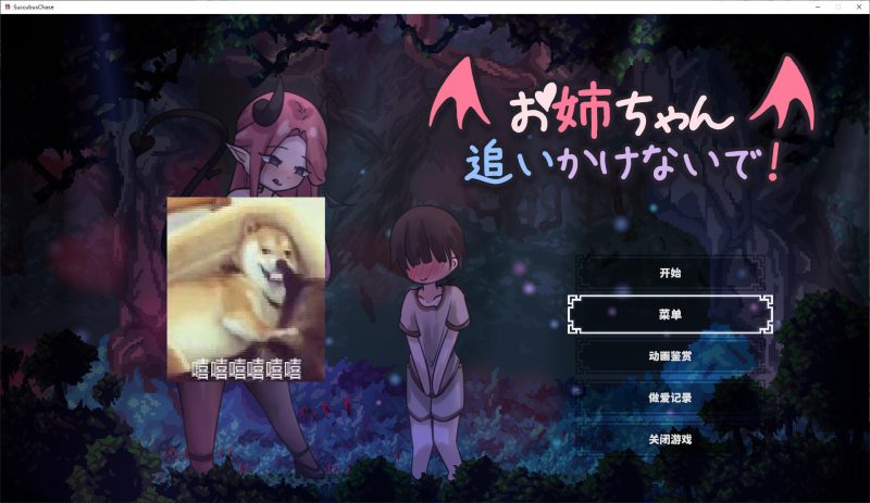 【日式ACT/中文】姐姐，别追我！ ~ 与魅魔一起标记 DL官中版【新作/510M】-乌龟ACG游戏
