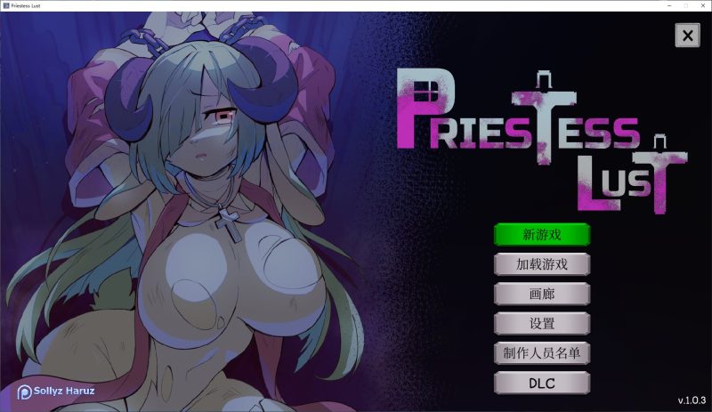 【像素ACT/中文/动态】女祭司的欲望 steam官中步兵版【新作/850M】-乌龟ACG游戏