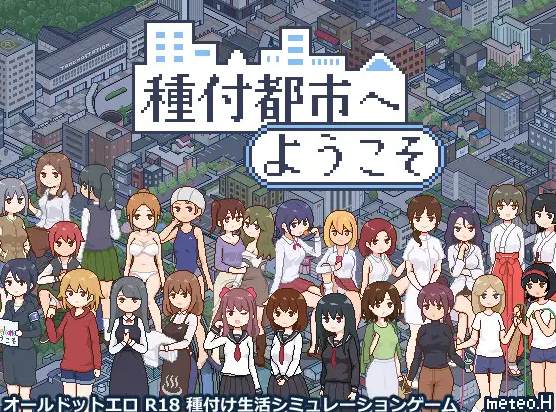 【像素SLG/动态】種付都市へようこそ DL正式版【新作/430M】-乌龟ACG游戏