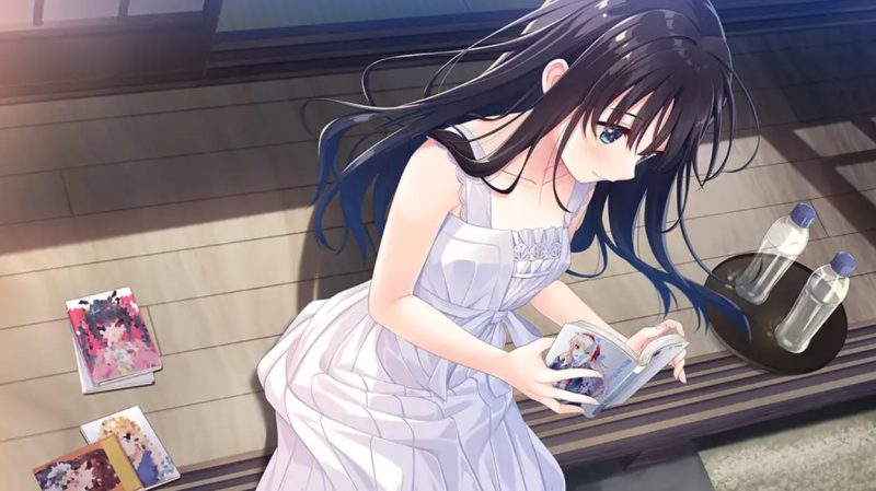 【日式SLG/中文】痴情哥哥与病弱妹妹的乡间生活 付DLC1+2+3 中文步兵版【更新/3.6G】-乌龟ACG游戏