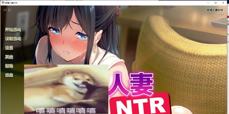 【ADV/中文】新婚人妻NTR 官方中文版 全CG存档【960M】-乌龟ACG游戏