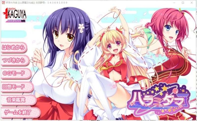 【拔作ADV/汉化/全CV】怀孕大作战 精翻汉化硬盘版 付CG包+存档【新汉化/3.8G】-乌龟ACG游戏