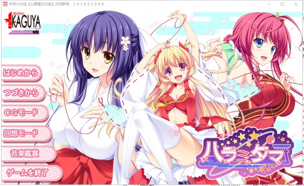【拔作ADV/汉化/全CV】怀孕大作战 精翻汉化硬盘版 付CG包+存档【新汉化/3.8G】-乌龟ACG游戏