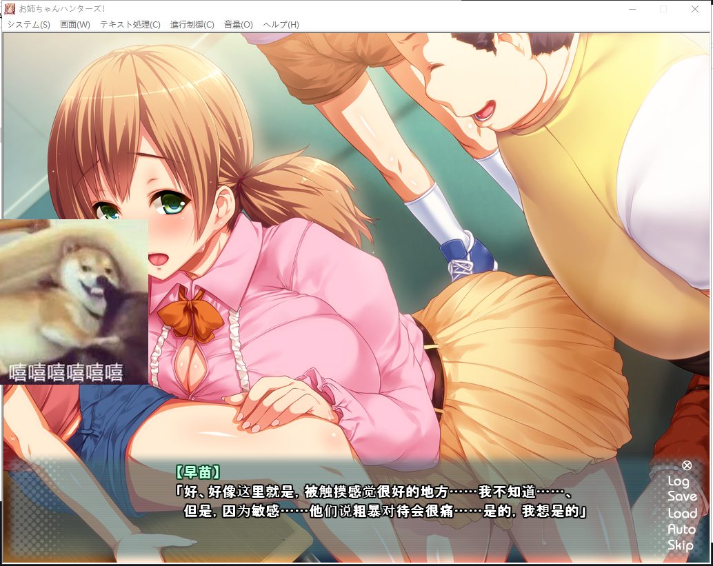 【拔作ADV/汉化】姐姐狩猎!让我们兴奋不已的大姐姐们接招吧!安卓+PC 汉化版+CG动画【2.3G】