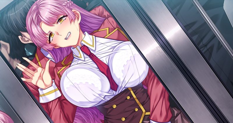 【拔作ADV/中文/CV】情趣馆大小姐的私密调教日记 付MAC 步兵中文版【新作/4.4GG】-乌龟ACG游戏