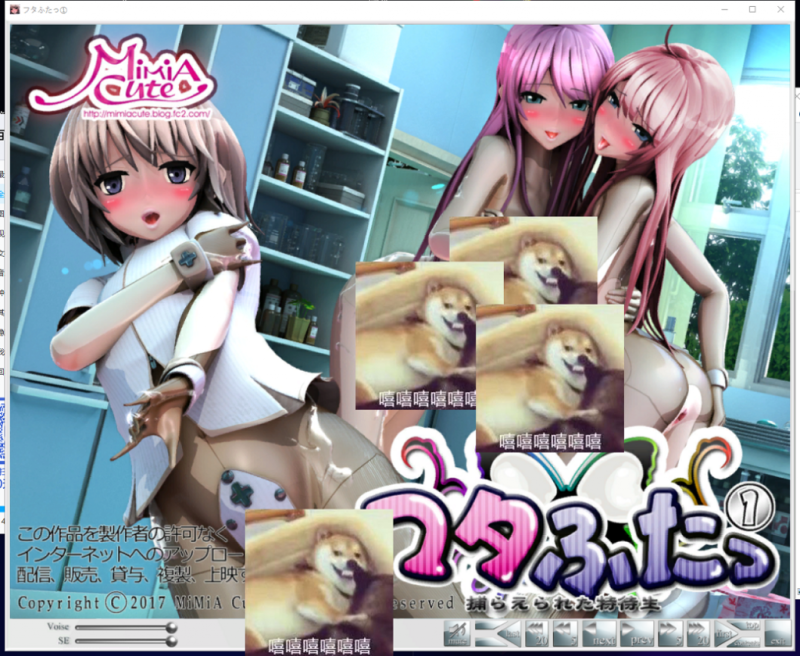 【3D/全动态】熏子：被捕获的特长生+完美女子化计划！游戏+漫画版【连体黑丝】【7.3G】-乌龟ACG游戏